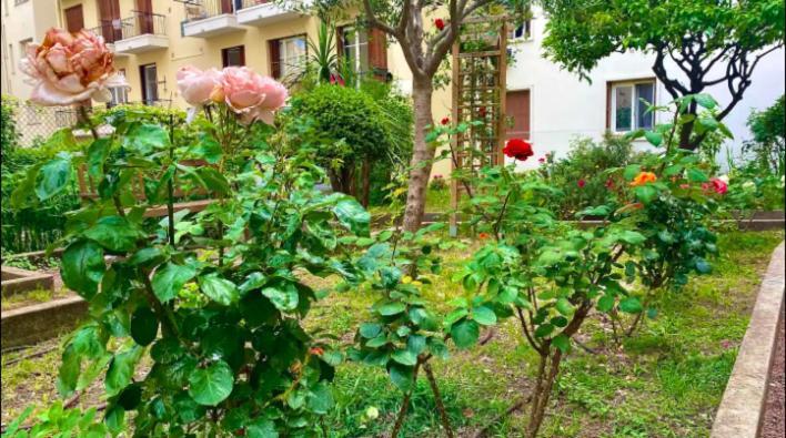 Appartement L'avenir Du Ray *