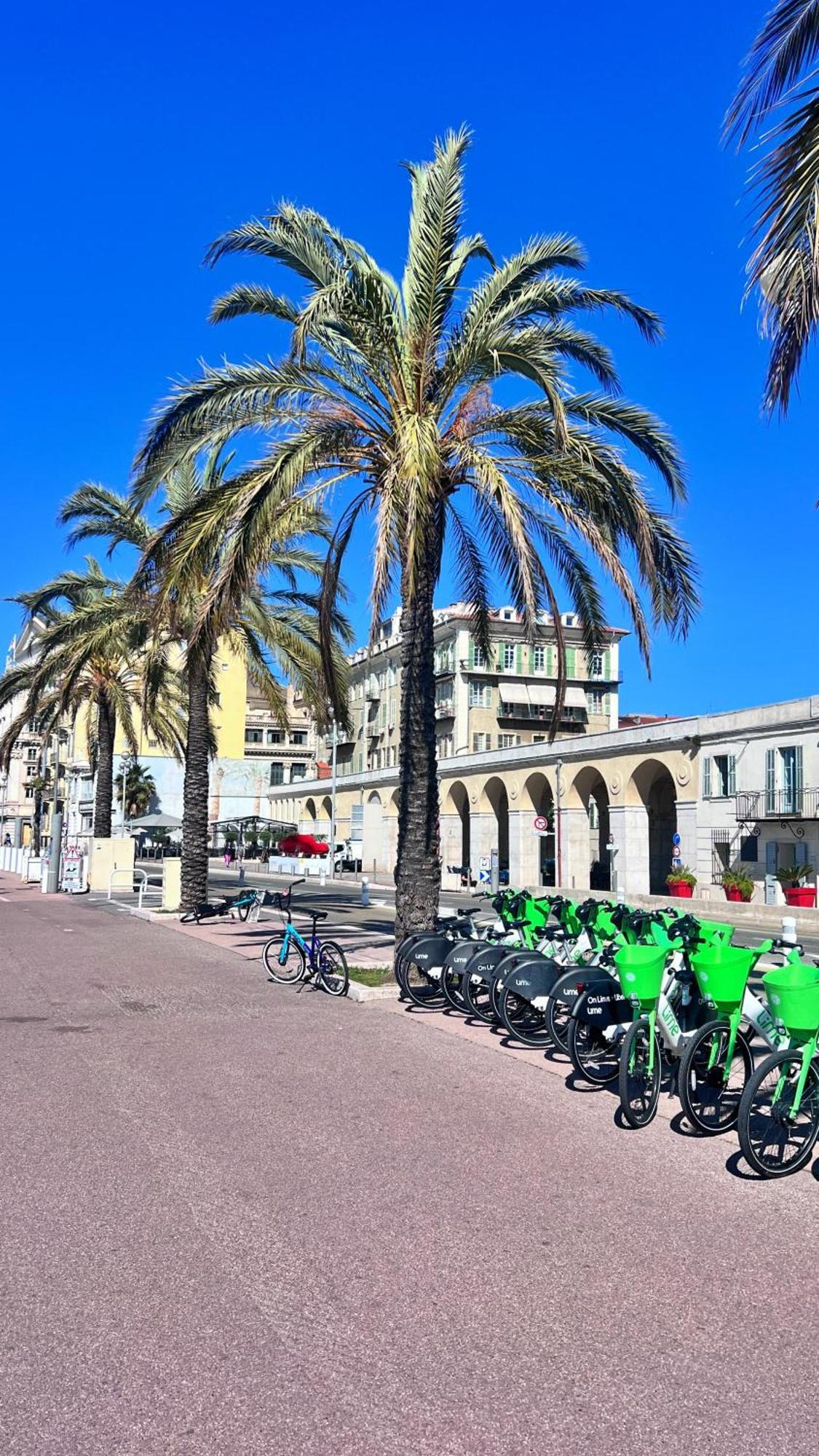 L'avenir Gorbella Nizza